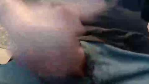 eat_a_peach2 online show from September 14, 11:23 am