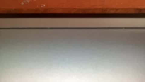 ebnk15 online show from January 10, 8:18 am