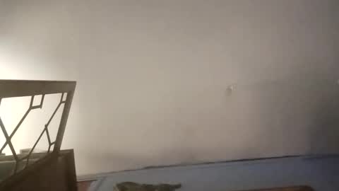 eboy4sale online show from November 25, 4:09 pm