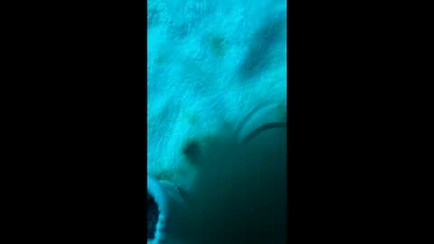 ecko201287 online show from April 8, 3:18 am