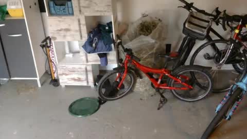 edelholz87 online show from July 16, 6:48 pm