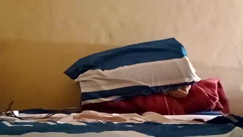 Sebastin online show from March 11, 7:37 am