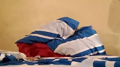 Sebastin online show from February 24, 5:00 am