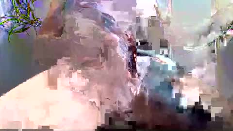 elcatire69 online show from December 4, 7:37 am