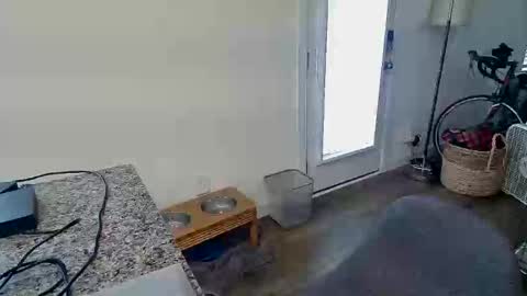 eldongue2024 online show from February 20, 3:08 pm