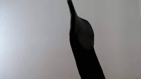 Snapshot of elosocazador chatting on October 9, 2:11 pm elosocazador online show from October 9, 2:11 pm