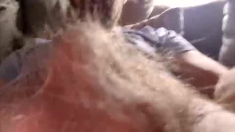 Erik Norwegian online show from February 26, 12:12 am