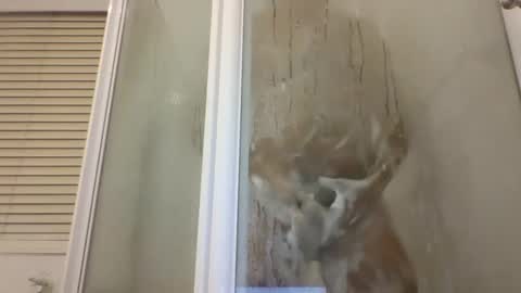 ET online show from January 2, 5:18 pm