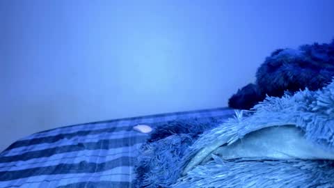 evan57036 online show from February 15, 6:55 am