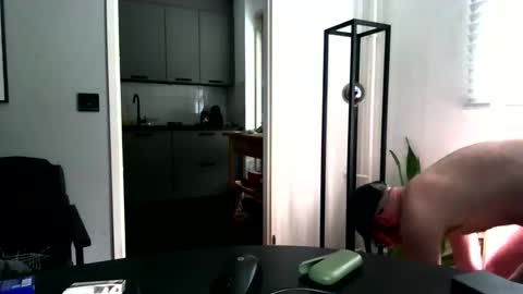 exibist79 online show from December 18, 9:27 am