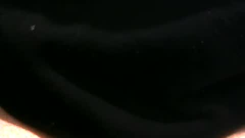 JC online show from December 21, 8:00 am