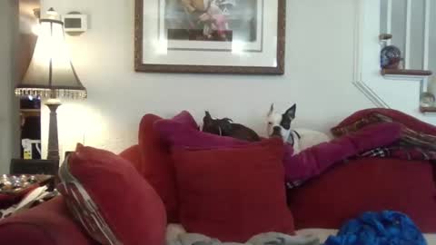 fairmount31 online show from February 17, 3:22 pm