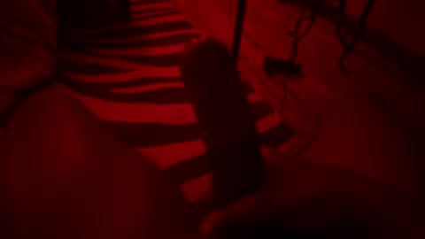 Woodufck online show from October 20, 12:14 am