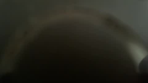 falushp online show from February 26, 11:52 am