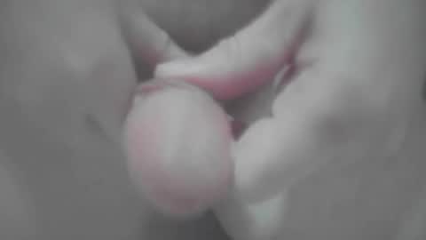 fapipa online show from December 22, 11:54 am