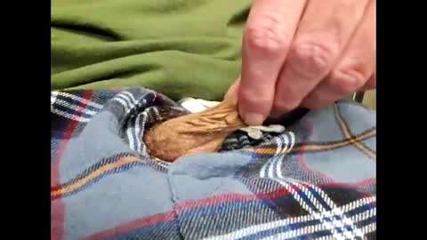 fartinmymouthplz online show from March 22, 3:44 am