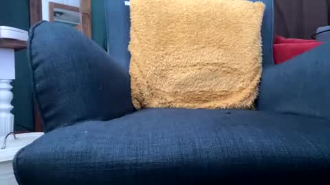 feetpuller2024 online show from February 28, 1:25 pm