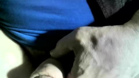 felicaste online show from January 24, 6:04 pm