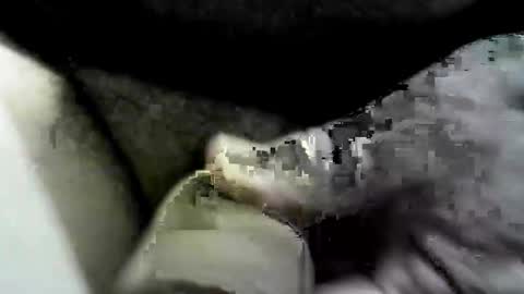 felicaste online show from September 26, 10:35 am