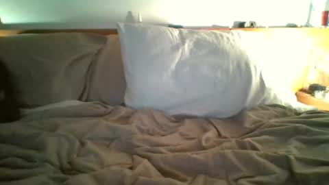 felipesmg2 online show from November 11, 1:05 pm