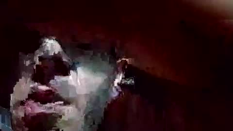 Endrik fox online show from April 29, 3:11 am