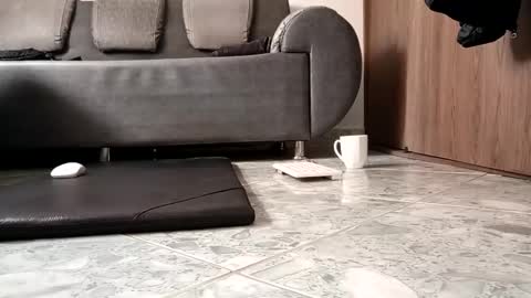 insta ferxx1210 Fercho online show from March 5, 1:50 pm