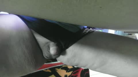 Fish online show from January 10, 1:09 pm