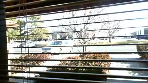 Snapshot of fit_hung_sub chatting on January 9, 7:08 pm pain slut daren online show from January 9, 7:08 pm