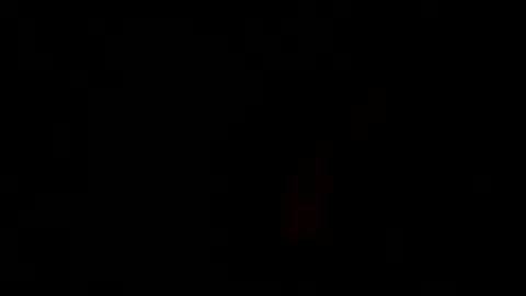 Carlo online show from August 3, 11:44 pm