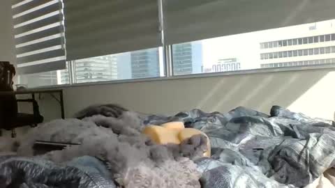 FLEX Discrete online show from April 1, 9:34 pm