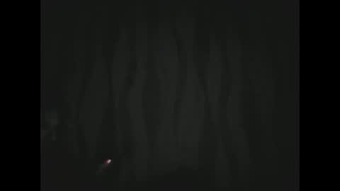 florek37 online show from December 28, 7:33 pm