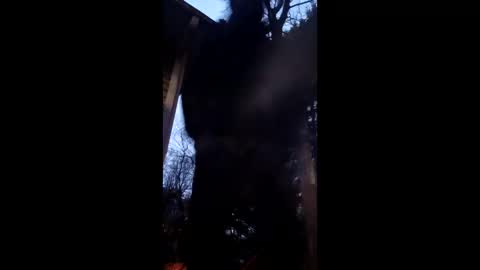 flyyguy69 online show from December 18, 12:12 pm