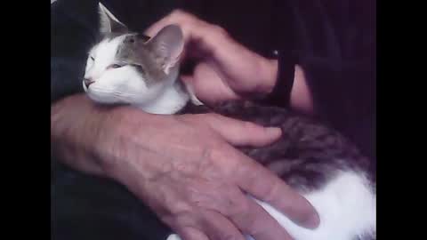 Hooz2no online show from October 12, 12:59 am