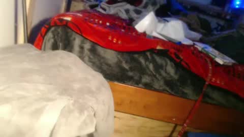 forestnymphpdx online show from December 24, 8:55 am