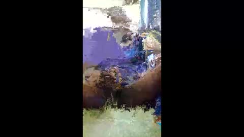 francis2589183038 online show from January 18, 9:30 am