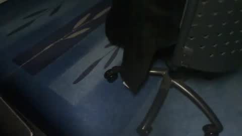 fredddy05 online show from January 17, 1:15 am