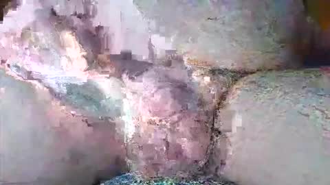 free_amos online show from April 7, 6:24 am