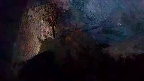 freeliv331874 online show from November 17, 4:32 pm