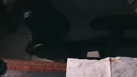 freetryal online show from November 21, 2:21 am