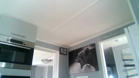 Snapshot of friskyneedsum chatting on October 22, 12:31 pm bob online show from October 22, 12:31 pm