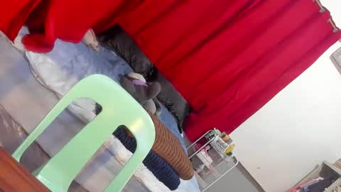 GABBY online show from November 3, 5:37 pm