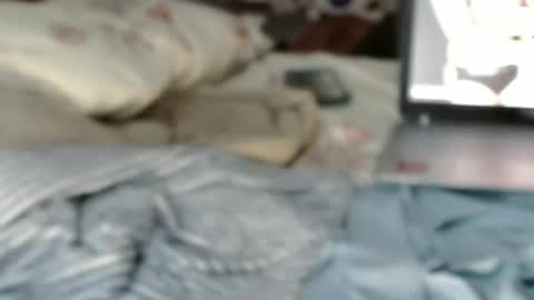 Funcock online show from December 27, 7:08 am