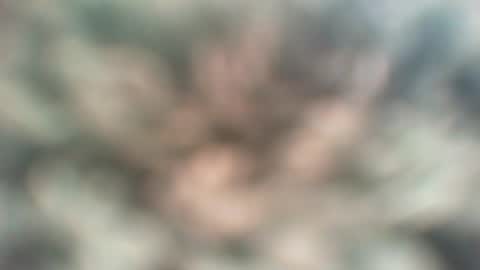 YWhiteNiceMan online show from February 4, 11:27 am