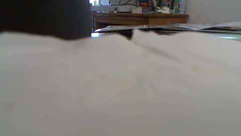 funone8848 online show from January 13, 8:04 pm