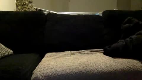 futbolin95 online show from February 20, 3:34 am