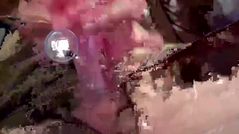 Snapshot of garetmc chatting on January 22, 2:37 am garetmc online show from January 22, 2:37 am