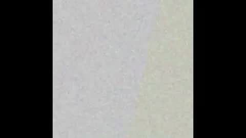 genowixk online show from October 5, 8:57 pm