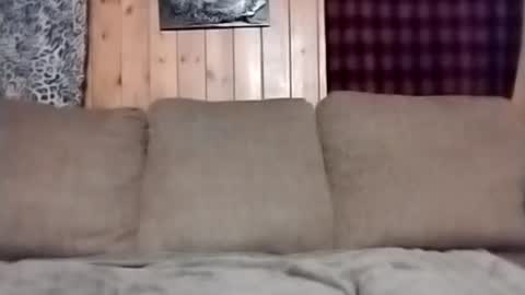 getsome1974 online show from March 3, 8:01 am