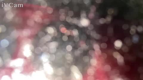 Snapshot of ginganinga13 chatting on January 12, 10:33 pm GingerNinja online show from January 12, 10:33 pm