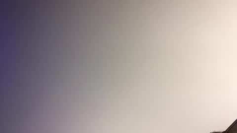 gingercockring online show from March 9, 7:12 am